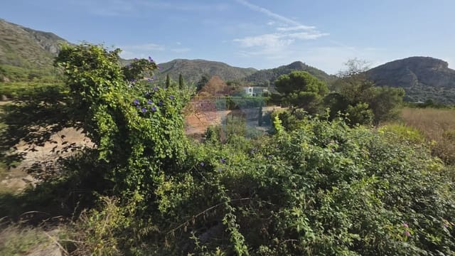 Undeveloped Land for sale in Gandia - € 69,900 (Ref: 10029900)