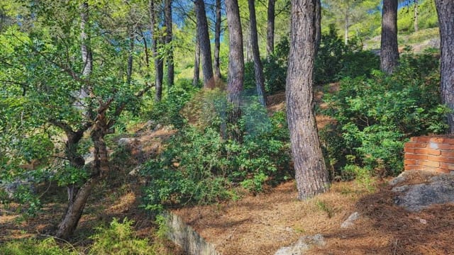 8 soverom Kjedet enebolig til salgs i Montichelvo med svømmebasseng - € 180 000 (Ref: 10034364)