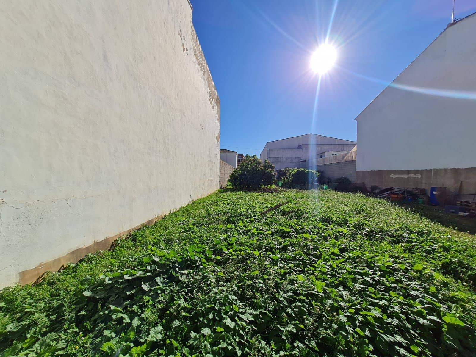 Tomt till salu i Rafelcofer - 75 000 € (Ref: 8040182)