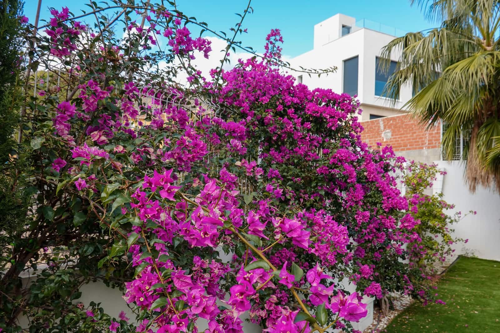 3 camera da letto Villa in vendita in Finestrat con piscina garage - 1.320.000 € (Rif: 8113050)