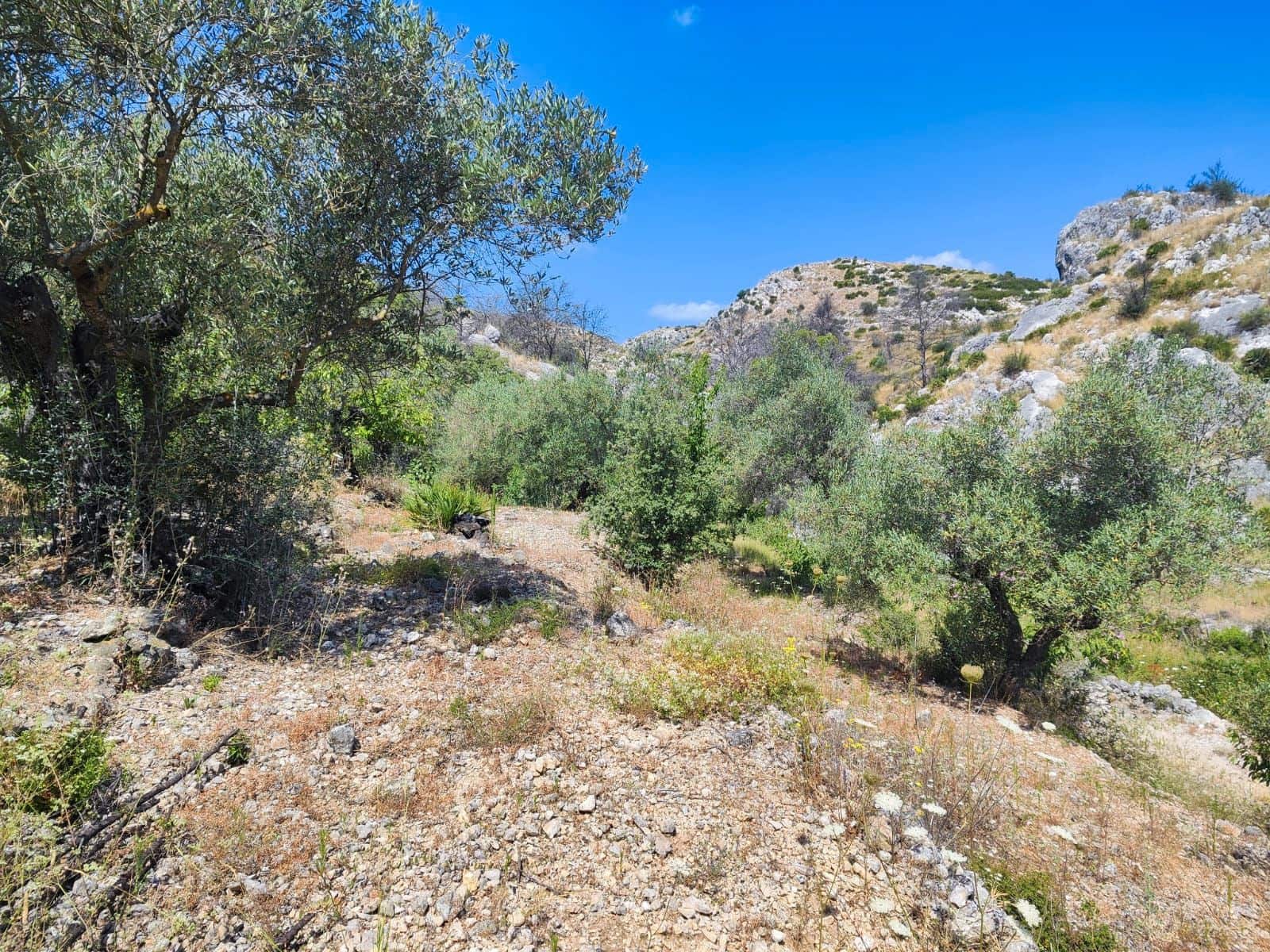 2 soveværelse Finca/Landehus til salg i Vall de Ebo - € 85.000 (Ref: 9170702)
