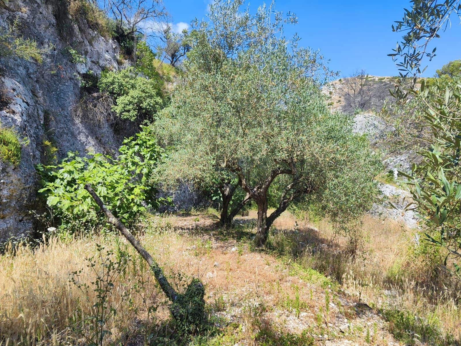 2 soveværelse Finca/Landehus til salg i Vall de Ebo - € 85.000 (Ref: 9170702)