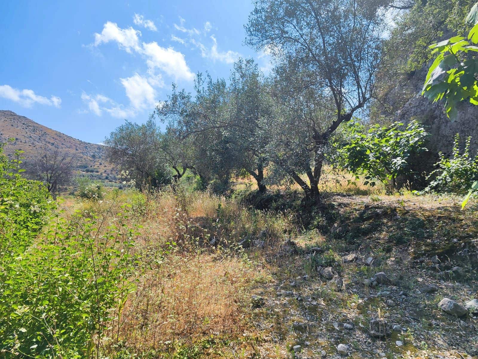 2 soveværelse Finca/Landehus til salg i Vall de Ebo - € 85.000 (Ref: 9170702)