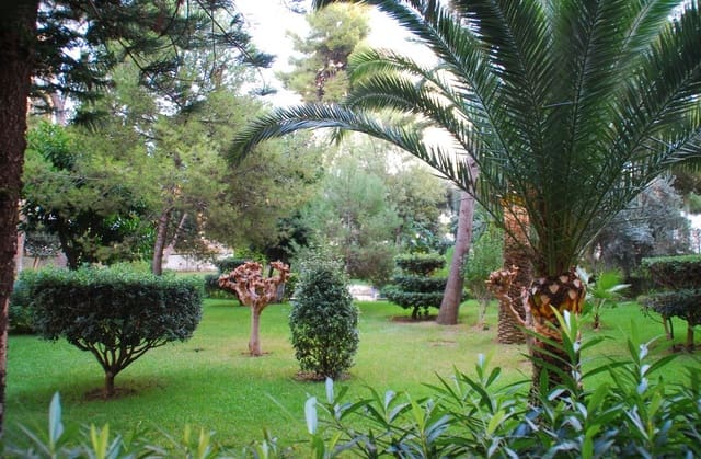 3 soveværelse Penthouse til salg i Gandia med swimmingpool garage - € 319.900 (Ref: 9413237)