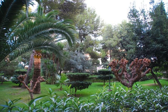 3 soveværelse Penthouse til salg i Gandia med swimmingpool garage - € 319.900 (Ref: 9413237)