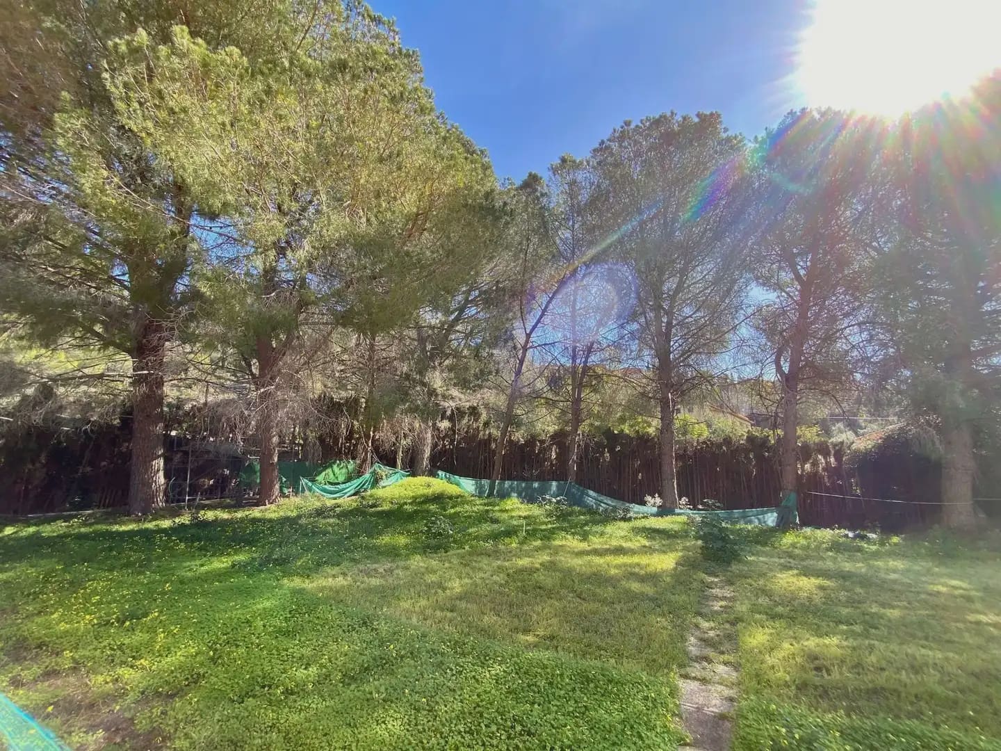 4 bedroom Villa for sale in Gandia - € 1,700,000 (Ref: 9626418)