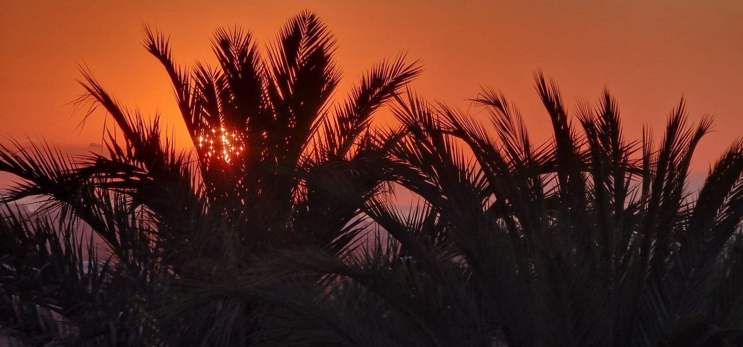 3 soveværelse Byhus til salg i Palma de Gandia - € 179.000 (Ref: 9626424)