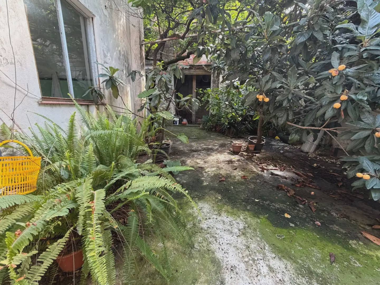 3 Zimmer Haus zu verkaufen in Gandia - 230.000 € (Ref: 9830474)