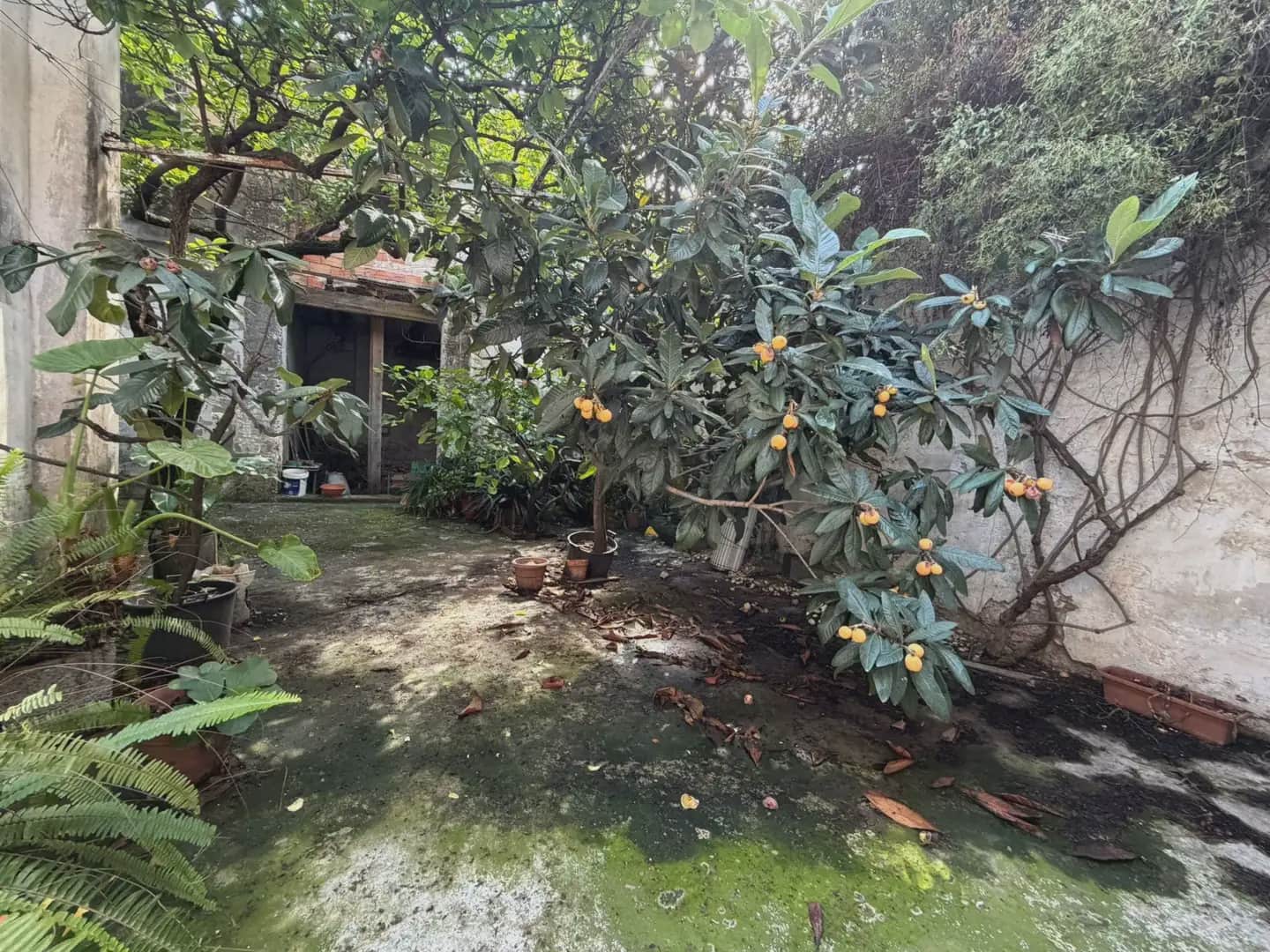 3 Zimmer Haus zu verkaufen in Gandia - 230.000 € (Ref: 9830474)