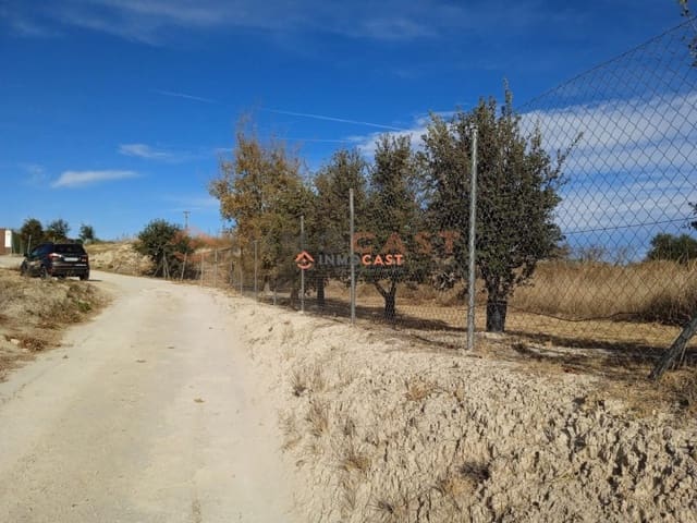 Undeveloped Land for sale in Alfarrasí - € 60,000 (Ref: 9634830)