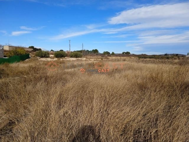 Undeveloped Land for sale in Alfarrasí - € 60,000 (Ref: 9634830)