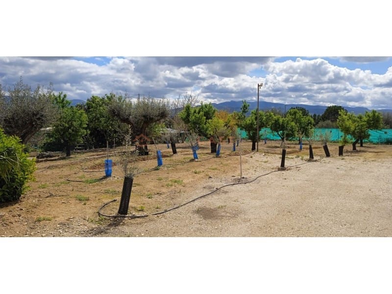 2 bedroom Villa for sale in L'Olleria with pool - € 250,000 (Ref: 9634853)