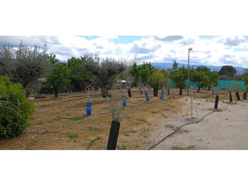 2 bedroom Villa for sale in L'Olleria with pool - € 250,000 (Ref: 9634853)