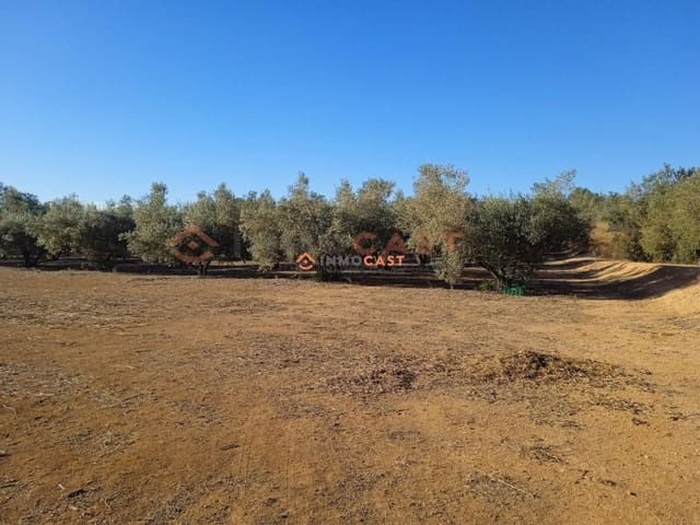 Mark till salu i L'Olleria - 43 000 € (Ref: 9634854)