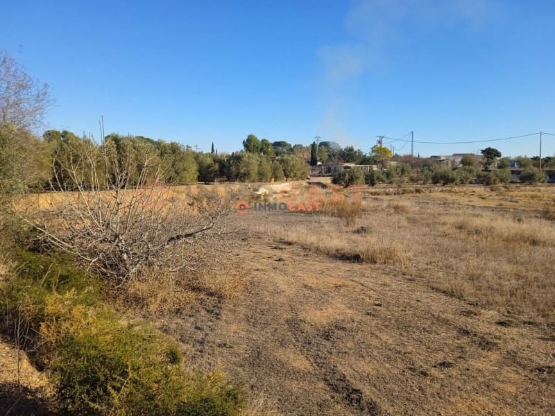 Mark till salu i L'Olleria - 43 000 € (Ref: 9634854)