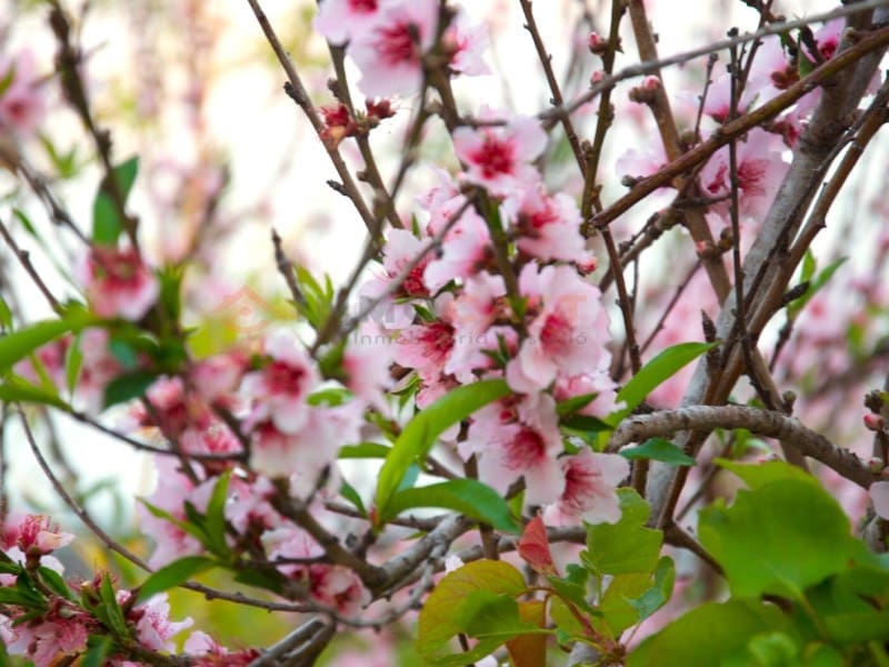 7 sovrum Villa till salu i Betera med pool garage - 990 000 € (Ref: 9634889)