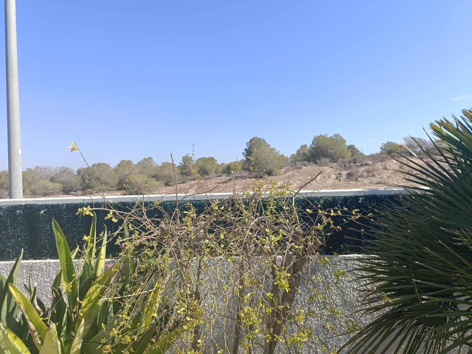 3 Zimmer Villa zu verkaufen in La Marina mit Pool Garage - 475.000 € (Ref: 9227045)