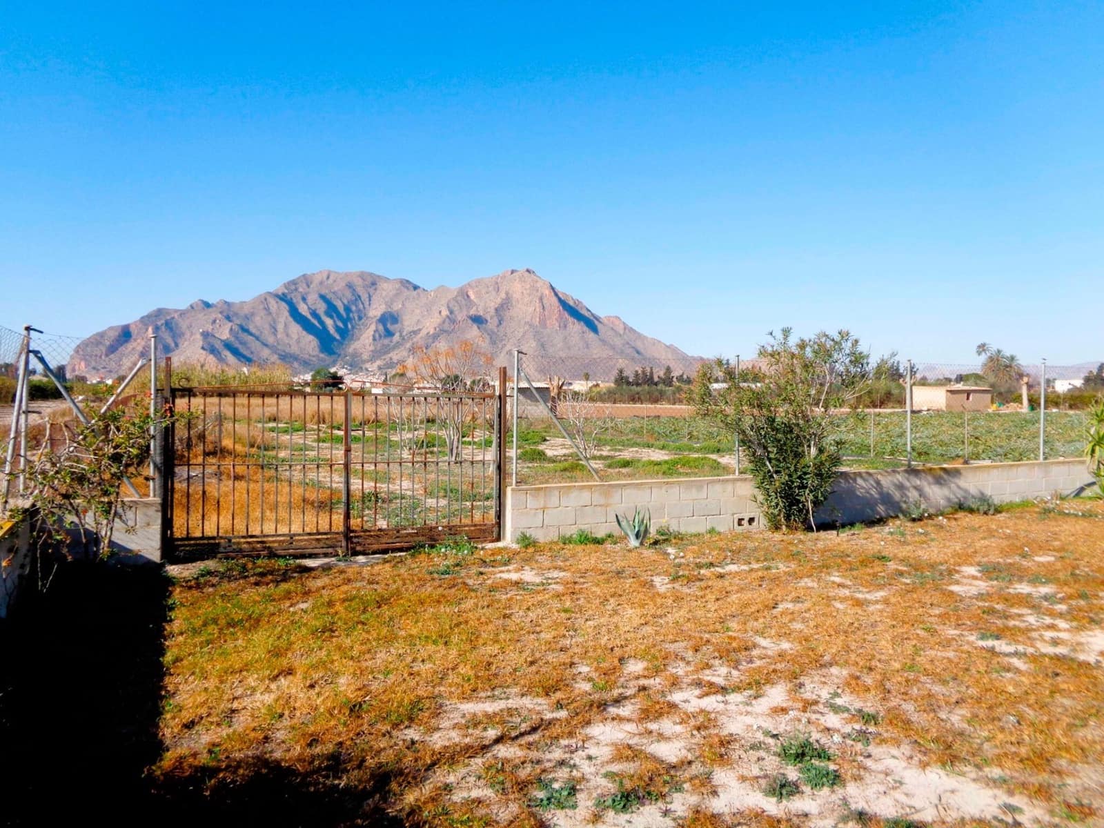 4 camera da letto Finca/Casa di Campagna in vendita in Callosa de Segura con piscina - 319.000 € (Rif: 9504319)