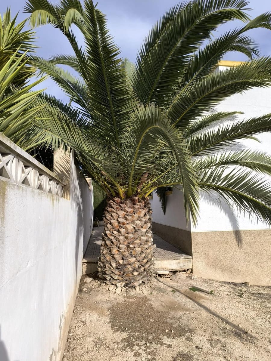 3 slaapkamer Penthouse te koop in La Marina met zwembad - € 190.000 (Ref: 9596169)