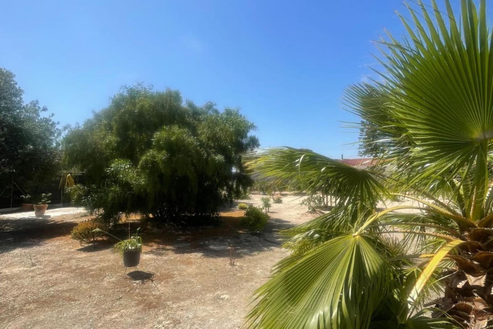 Chalet de 3 habitaciones en San Fulgencio en venta con piscina - 445.500 € (Ref: 9808003)