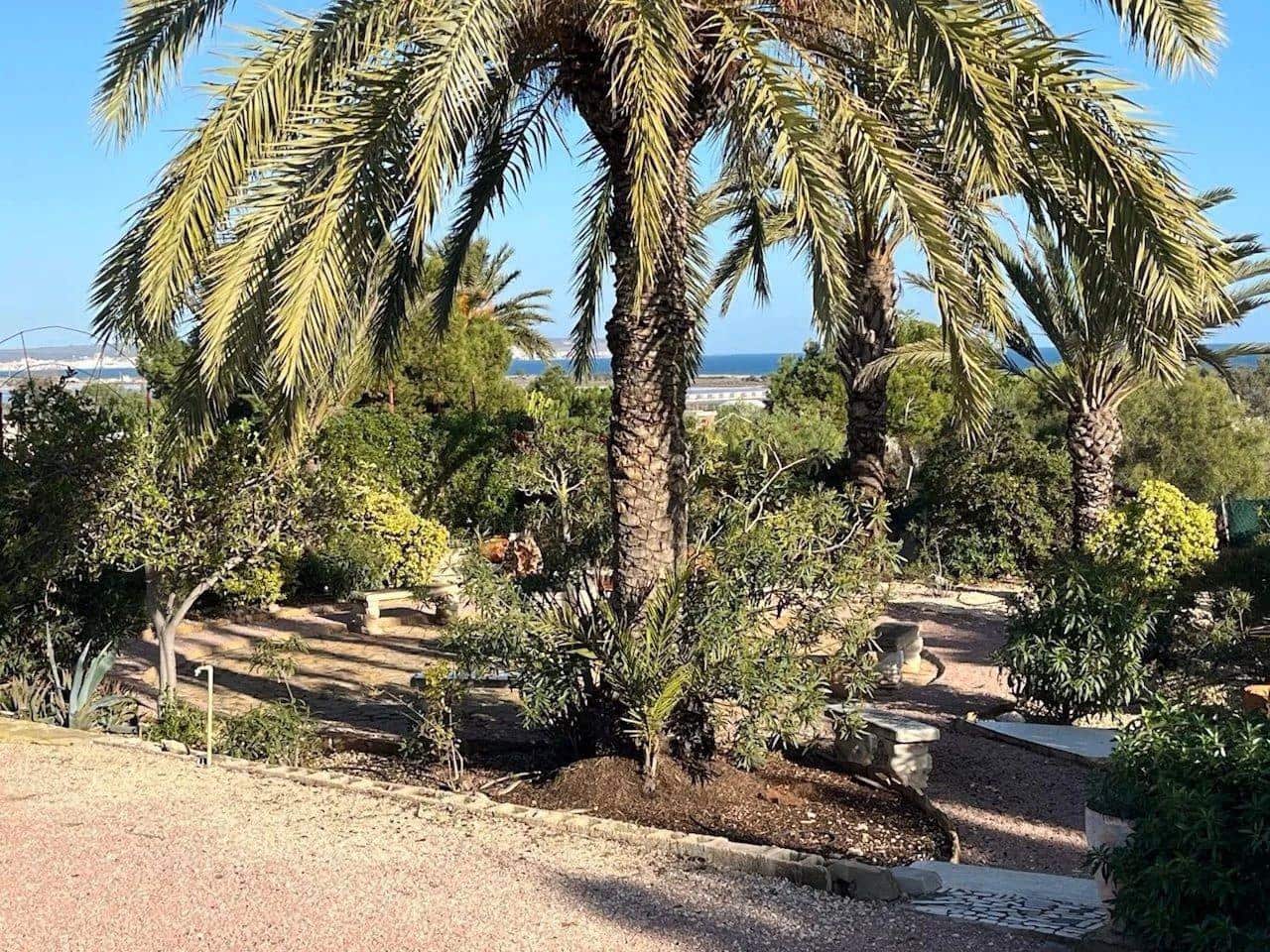 6 slaapkamer Villa te koop in El Pinet met zwembad garage - € 795.000 (Ref: 9846263)