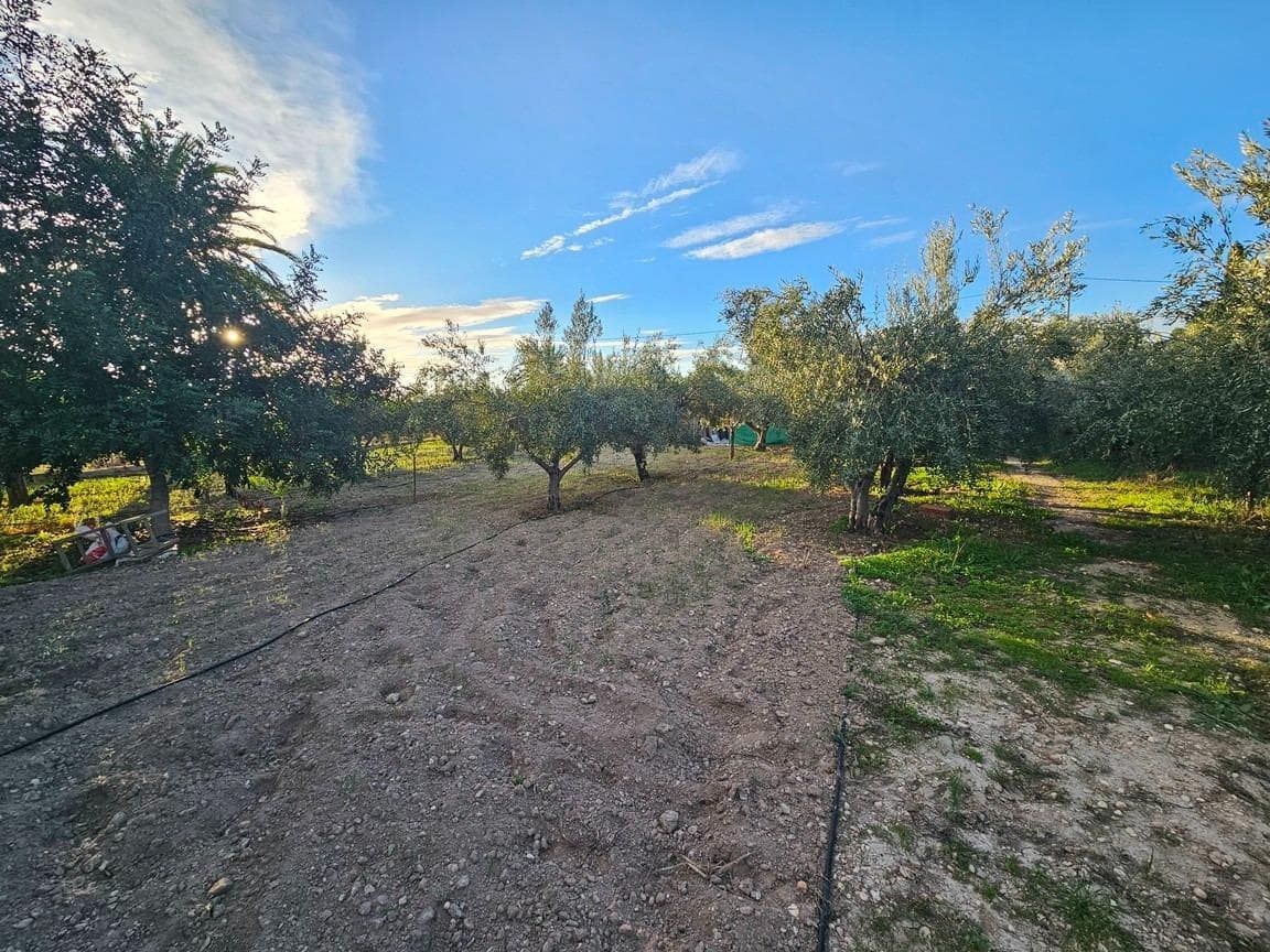 5 Zimmer Finca/Landgut zu verkaufen in Novelda mit Garage - 249.000 € (Ref: 9849411)