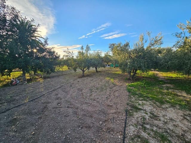 5 Zimmer Finca/Landgut zu verkaufen in Novelda mit Garage - 249.000 € (Ref: 9849411)