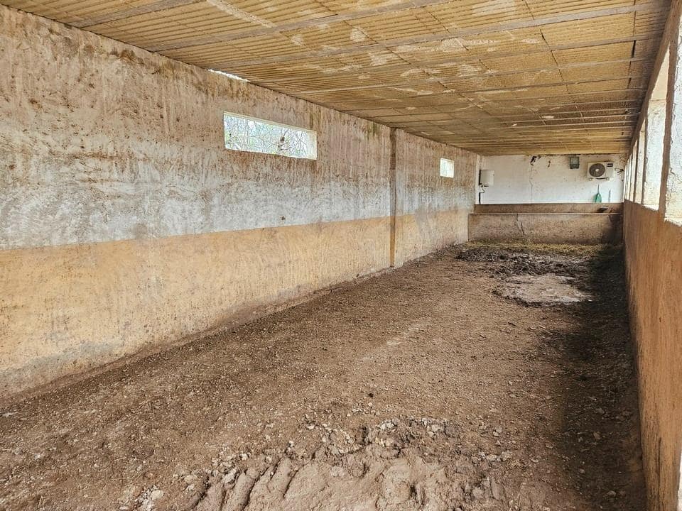 Finca/Casa Rural de 2 habitaciones en Orihuela en venta con piscina garaje - 450.000 € (Ref: 9861894)