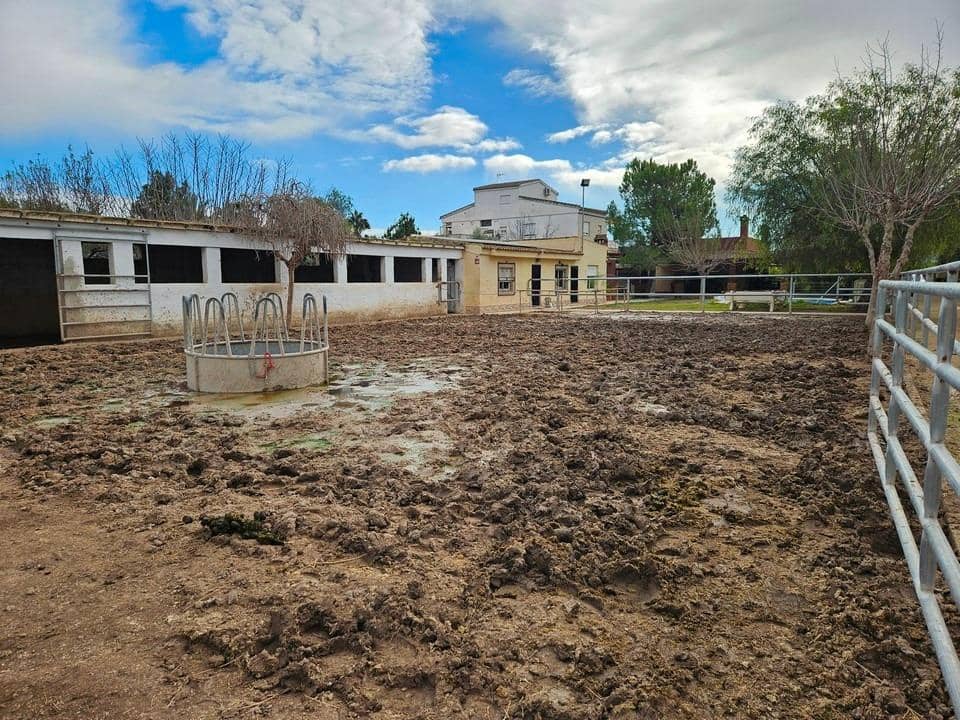 Finca/Casa Rural de 2 habitaciones en Orihuela en venta con piscina garaje - 450.000 € (Ref: 9861894)