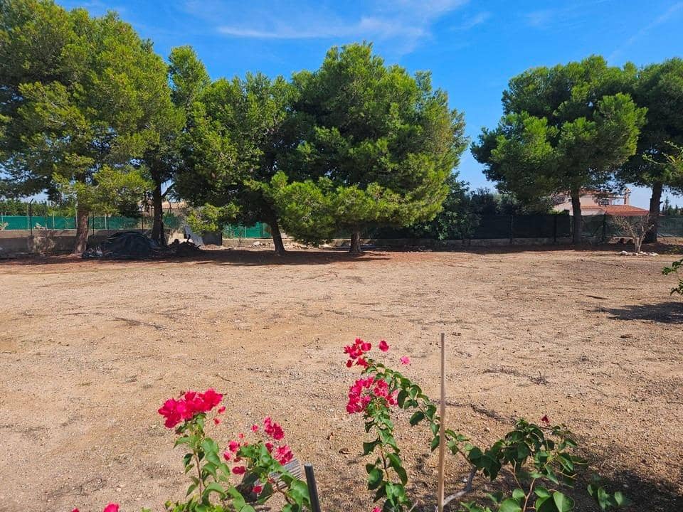 3 soveværelse Villa til salg i Elche / Elx med swimmingpool garage - € 525.000 (Ref: 9861895)