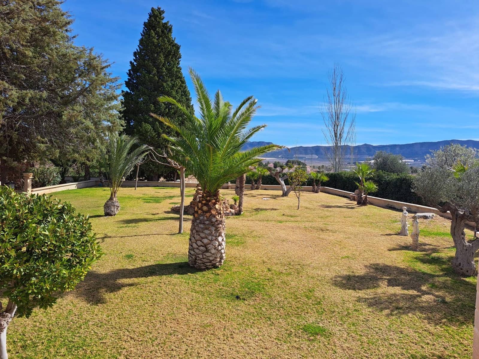 6 slaapkamer Finca/Landhuis te koop in Salinas met zwembad garage - € 1.000.000 (Ref: 9873532)