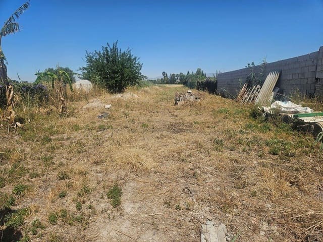 3 chambre Finca/Maison de Campagne à vendre à Dolores avec piscine - 210 000 € (Ref: 9873533)
