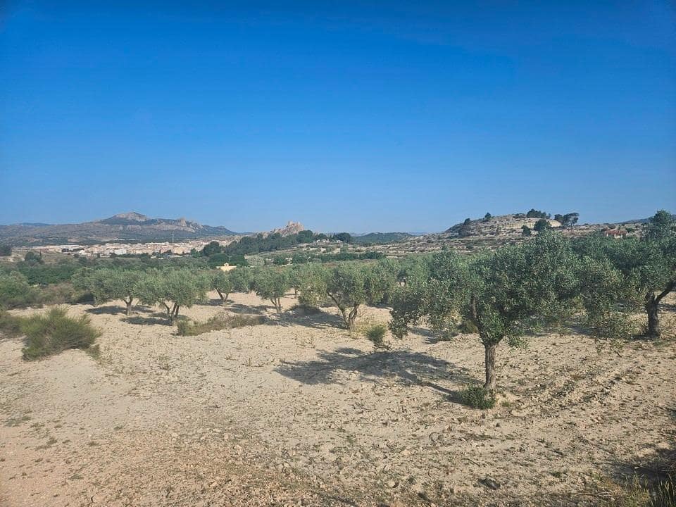 Undeveloped Land for sale in Sax - € 125,000 (Ref: 9942558)