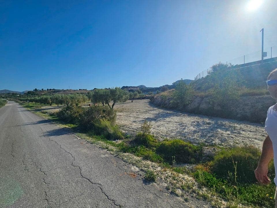 Undeveloped Land for sale in Sax - € 125,000 (Ref: 9942558)