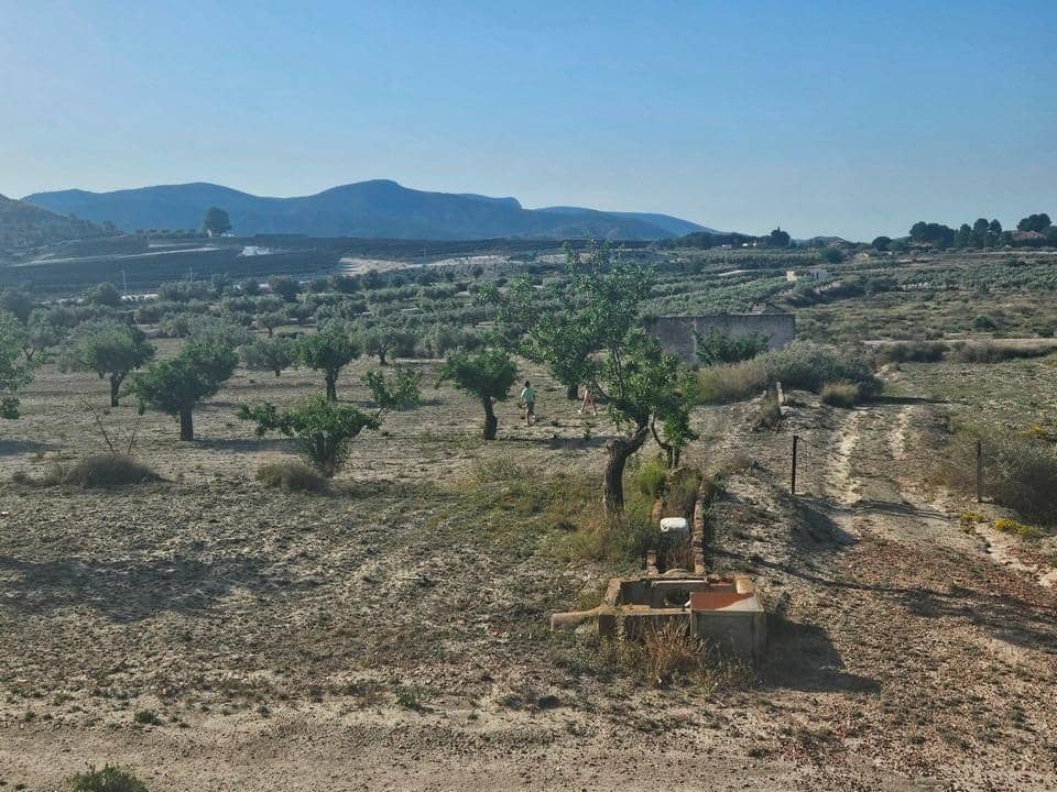 Undeveloped Land for sale in Sax - € 125,000 (Ref: 9942558)