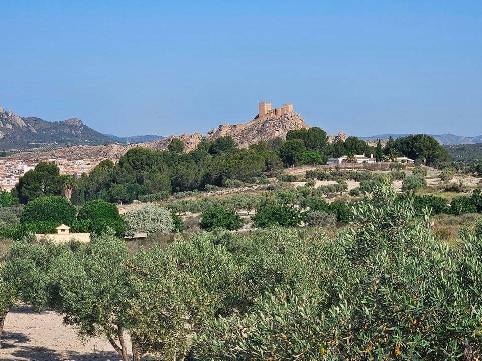Undeveloped Land for sale in Sax - € 125,000 (Ref: 9942558)