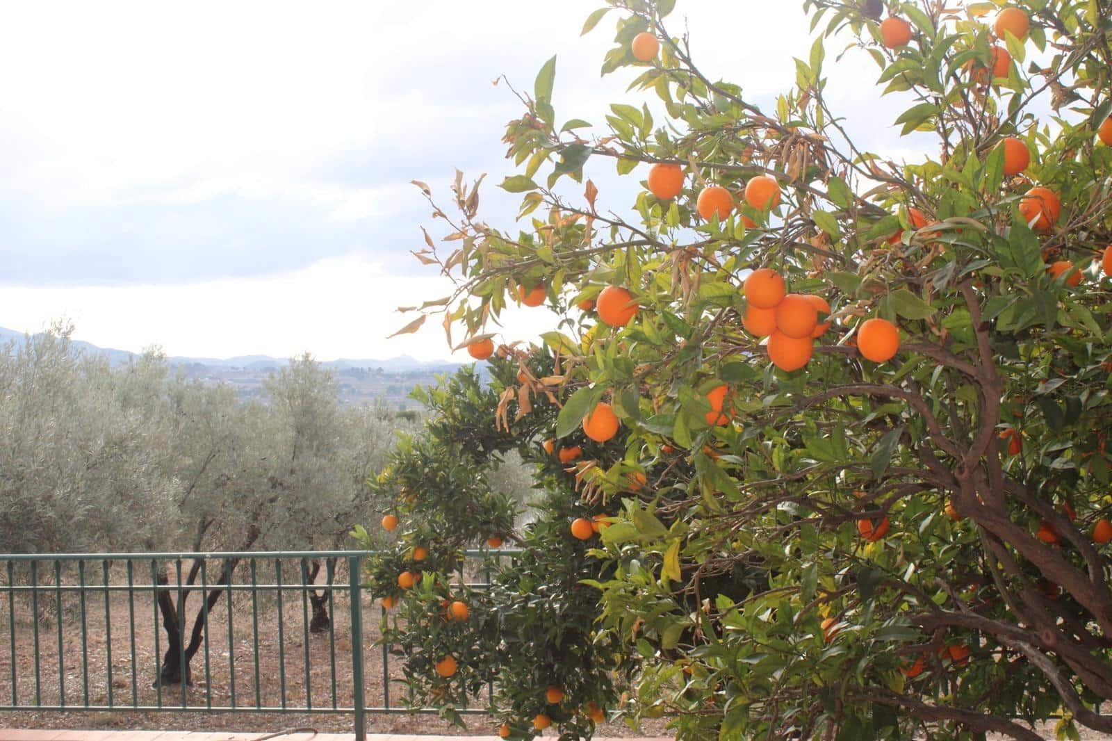 Finca/Casa Rural de 4 habitaciones en Sax en venta con piscina garaje - 400.000 € (Ref: 9962746)