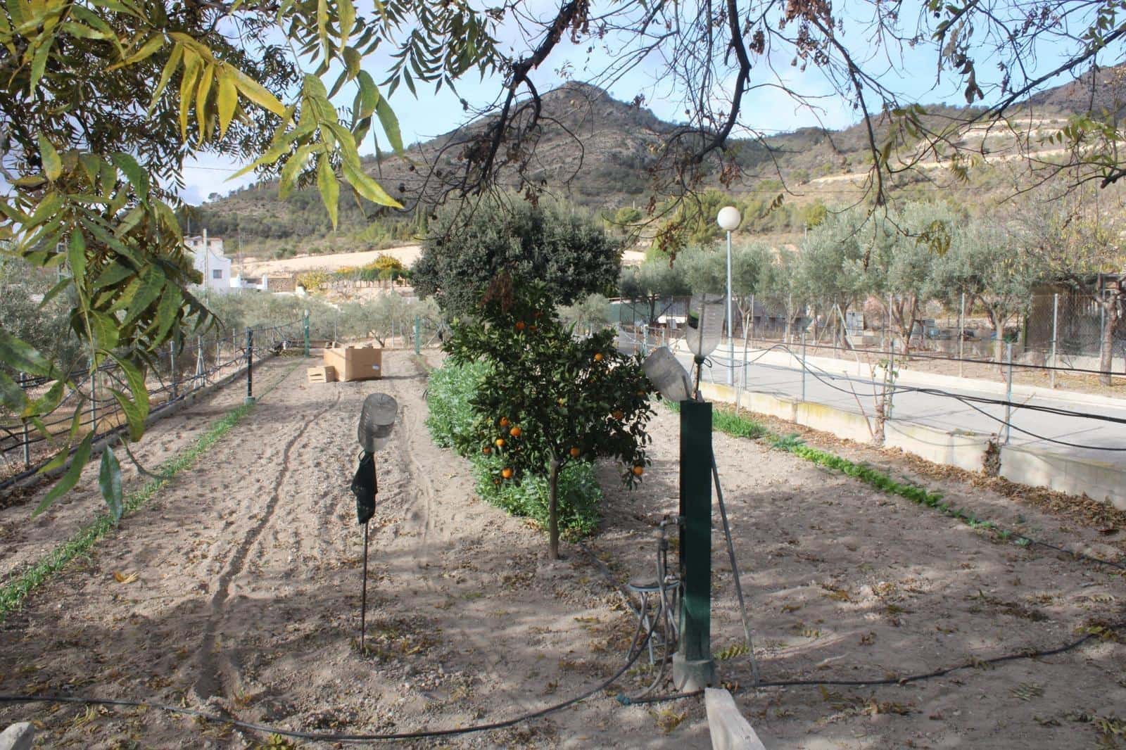 Finca/Casa Rural de 4 habitaciones en Sax en venta con piscina garaje - 400.000 € (Ref: 9962746)