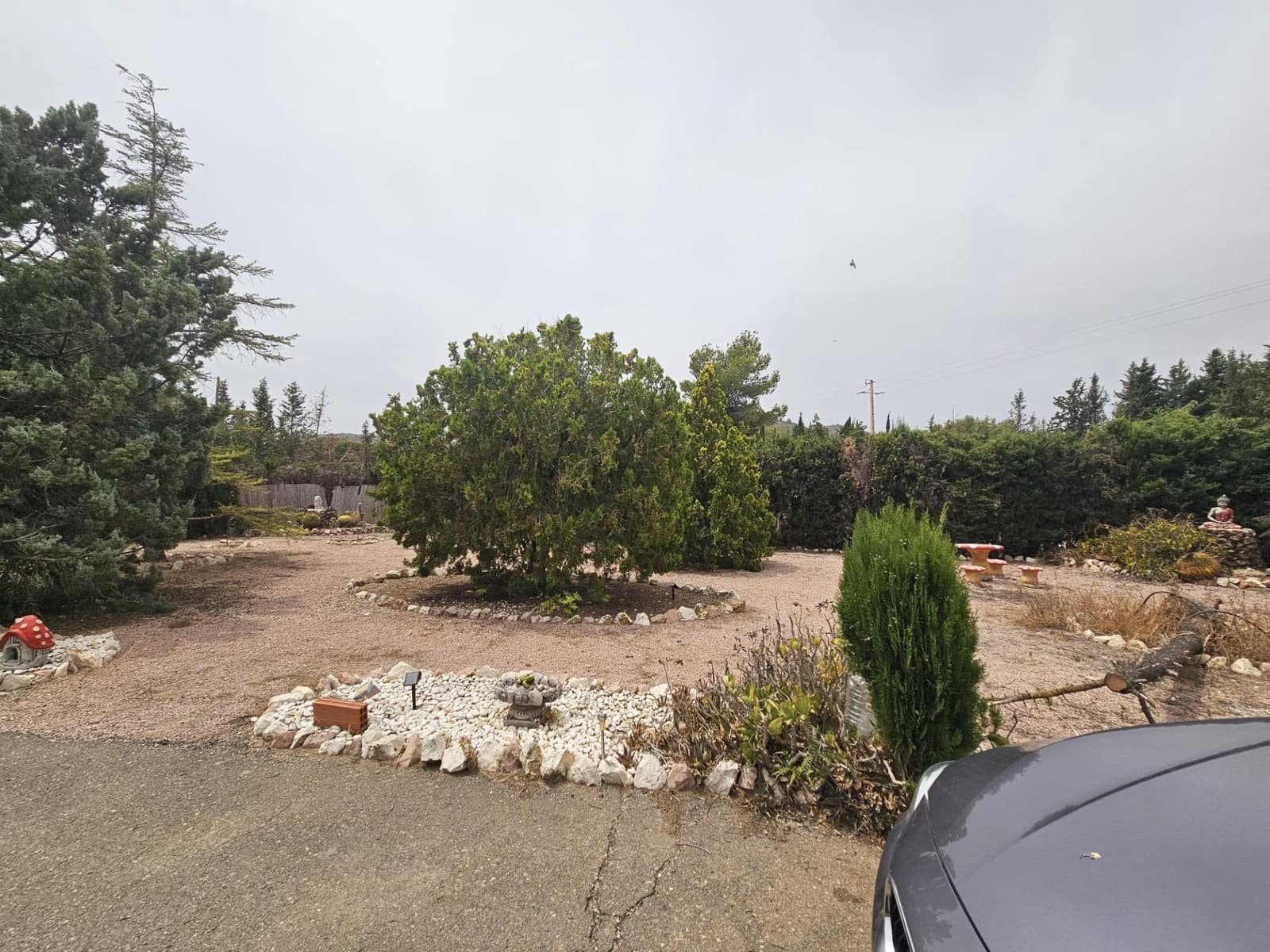 Finca/Casa Rural de 4 habitaciones en Novelda en venta con piscina garaje - 399.000 € (Ref: 9975468)