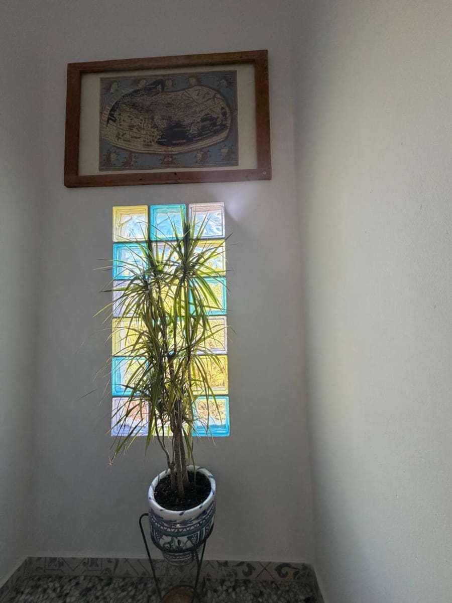 7 sovrum Hus till salu i Velez-Rubio med pool - 275 000 € (Ref: 10072415)
