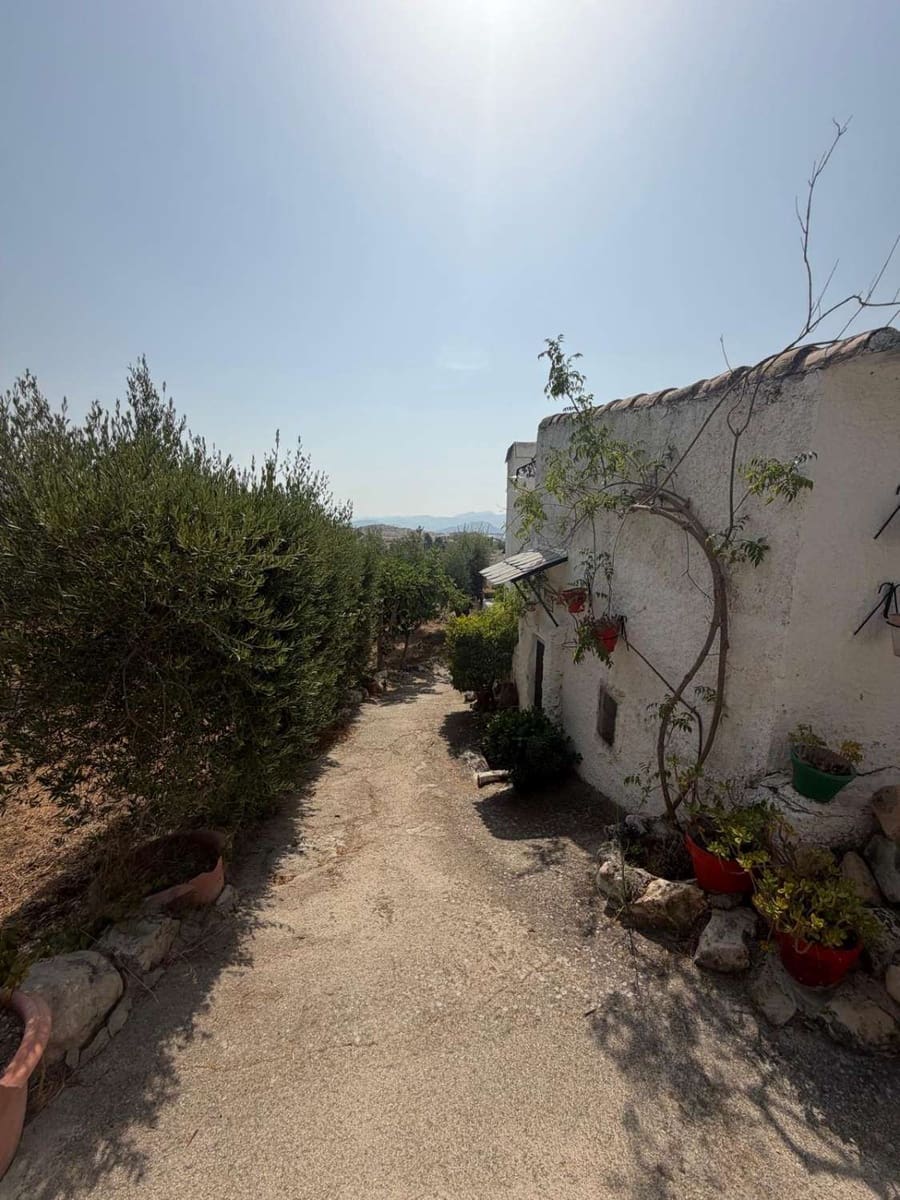 4 Zimmer Haus zu verkaufen in Velez-Blanco mit Pool - 219.995 € (Ref: 10072416)