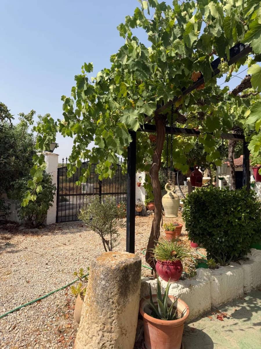 4 Zimmer Haus zu verkaufen in Velez-Blanco mit Pool - 219.995 € (Ref: 10072416)