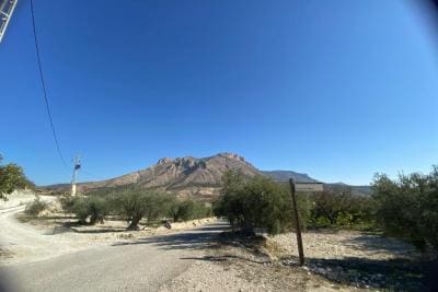 Undeveloped Land for sale in Velez-Blanco - € 25,000 (Ref: 10072418)