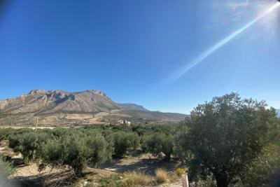 Undeveloped Land for sale in Velez-Blanco - € 25,000 (Ref: 10072418)