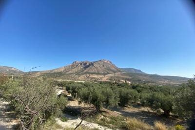 Undeveloped Land for sale in Velez-Blanco - € 25,000 (Ref: 10072418)