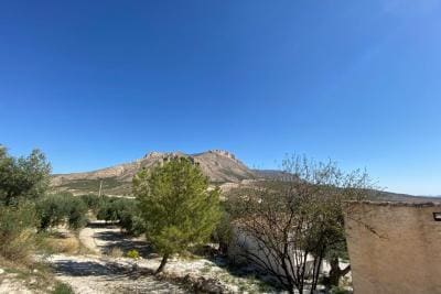 Undeveloped Land for sale in Velez-Blanco - € 25,000 (Ref: 10072418)