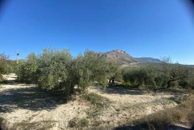 Undeveloped Land for sale in Velez-Blanco - € 25,000 (Ref: 10072418)