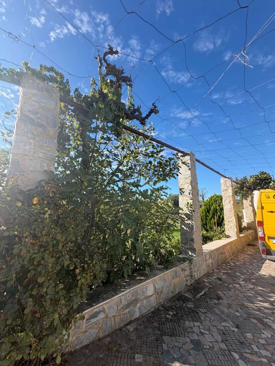6 chambre Maison de Ville à vendre à Chirivel avec garage - 329 000 € (Ref: 10159020)