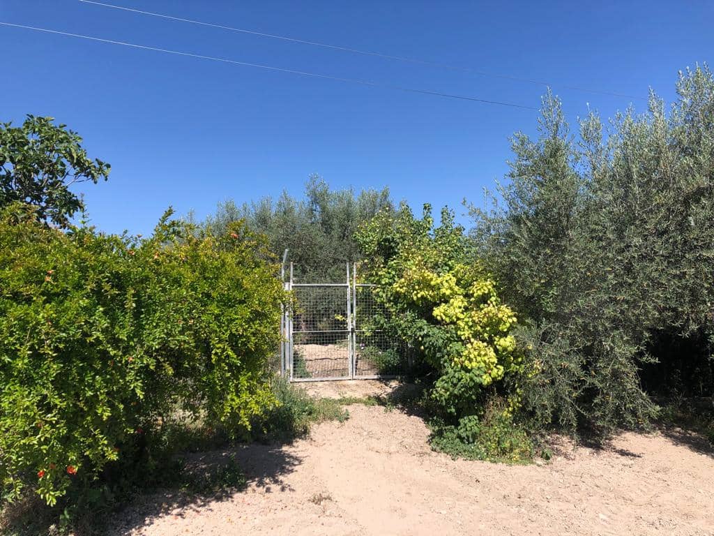 3 sypialnia Dom na sprzedaż w Velez-Blanco - 149 000 € (Ref: 7868828)