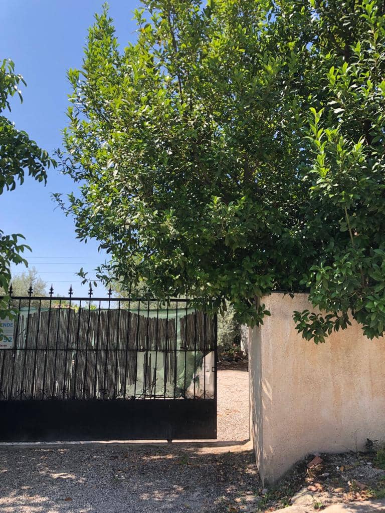 3 sypialnia Dom na sprzedaż w Velez-Blanco - 149 000 € (Ref: 7868828)